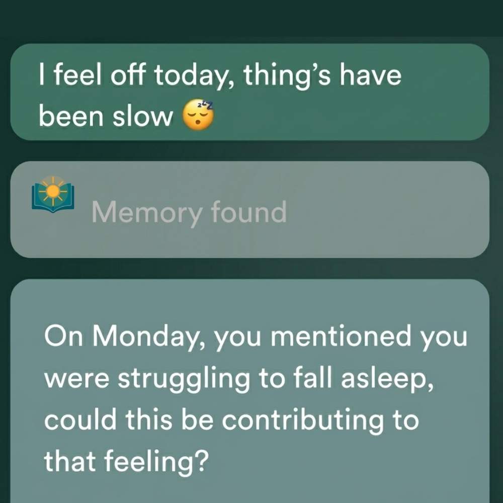 Solstice Diary memory feature showing a recent journal entry linked to an earlier note about sleep.